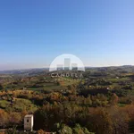 Rent 2 bedroom apartment of 50 m² in Mondovì