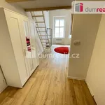 Rent 1 bedroom apartment of 42 m² in Praha