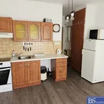 Rent 1 bedroom apartment of 19 m² in Ústí nad Labem