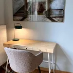 Rent 1 bedroom apartment in brussels