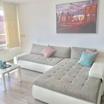 Rent 2 bedroom apartment of 75 m² in Rotterdam