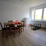 Rent 2 bedroom apartment of 36 m² in Tarnów