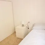 Rent a room in valencia