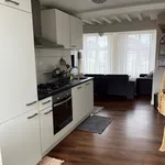 Huur 1 slaapkamer appartement van 55 m² in Leiden