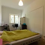 Rent a room of 75 m² in lisbon