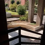 Rent 2 bedroom apartment of 70 m² in Turin