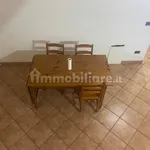 Rent 5 bedroom apartment of 85 m² in Livorno