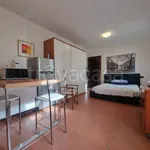 Rent 1 bedroom apartment of 33 m² in Cremona