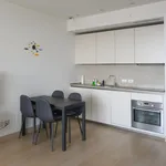 Rent 1 bedroom apartment of 60 m² in Roma