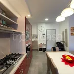 Rent 4 bedroom apartment of 113 m² in Modena