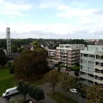 Rent 1 bedroom apartment in Hasselt