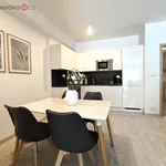 Rent 2 bedroom apartment of 62 m² in Brno