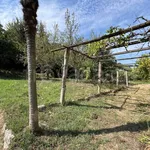 Appartamento in affitto a Orte via Rifugio, giardino, box, parzialmente arredato - TrovaCasa