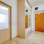 Pronajměte si 2 ložnic/e byt o rozloze 55 m² v Pilsen