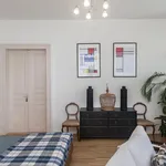 Rent a room of 160 m² in Prague