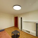 Rent 1 bedroom apartment of 33 m² in Vilnius