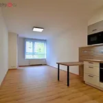 Rent 2 bedroom apartment of 54 m² in Praha 9