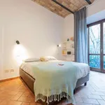 Rent 1 bedroom apartment in Rome