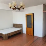 Rent 1 bedroom apartment in Mladá Boleslav