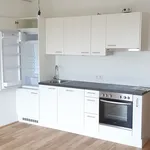 Rent 2 bedroom apartment of 53 m² in Graz