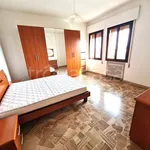 Rent 2 bedroom apartment of 50 m² in Mogliano Veneto