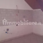 Rent 2 bedroom apartment of 60 m² in Turin