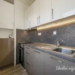 Rent 2 bedroom apartment in Praha 5