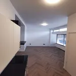 Huur 4 slaapkamer appartement van 100 m² in Ooltgensplaat woonkern