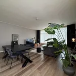 Rent 3 bedroom apartment of 85 m² in Groningen