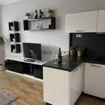 Rent 2 bedroom apartment in Ostrava