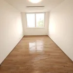 Rent 2 bedroom apartment of 563 m² in Trhový Štěpánov