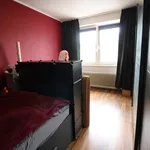 Rent 3 bedroom apartment in Krefeld