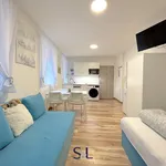 Rent 1 bedroom apartment in Liberec