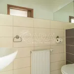 Rent 1 bedroom apartment in Capital City of Prague