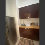  appartement avec 1 chambre(s) en location à Paris