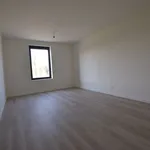 Maison de 464 m² avec 3 chambre(s) en location à Zottegem