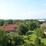 Rent 1 bedroom apartment of 35 m² in Detmold