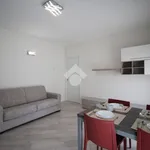 Rent 2 bedroom apartment of 55 m² in Monza