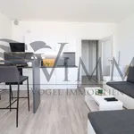 Rent 1 bedroom apartment of 35 m² in České Budějovice