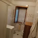 Rent 4 bedroom apartment of 80 m² in Cassino