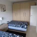 Rent 3 bedroom apartment in Woluwe-Saint-Pierre