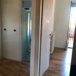 Rent 2 bedroom apartment of 70 m² in Turin