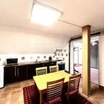 Rent 4 bedroom apartment of 120 m² in Ostrava