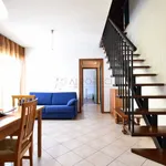 Rent 3 bedroom apartment of 85 m² in Piove di Sacco