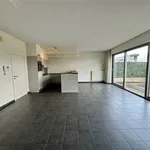 Rent 2 bedroom apartment in MAASEIK