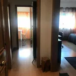 Rent 1 bedroom apartment in Lisbon