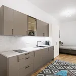 Rent 1 bedroom apartment of 30 m² in Prague