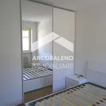 Rent 3 bedroom apartment of 75 m² in Trento