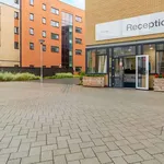 Rent 1 bedroom apartment in Colchester