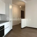 Rent 3 bedroom apartment of 93 m² in Turin